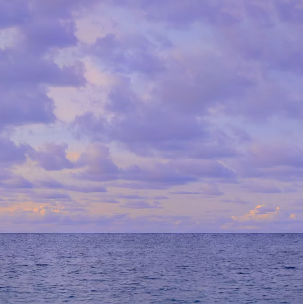 陈经理企业微信头像